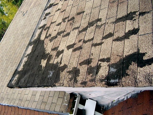 PB060220